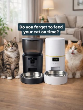 Do you ever worry that you might forget to feed your cat on time? Life gets busy — but your cat still expects meals right...