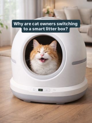 Why are more and more cat owners switching to a smart litter box? Because it completely changes everyday life with a cat 🐾...