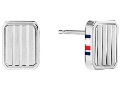 nausnice tommy hilfiger model 2780693