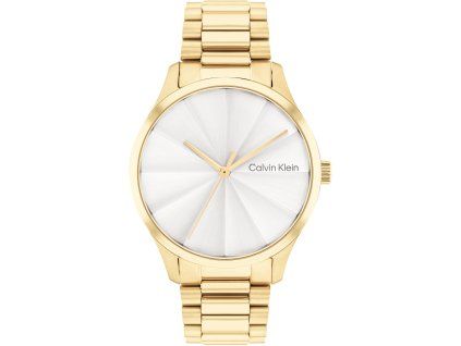 hodinky calvin klein model 25200232