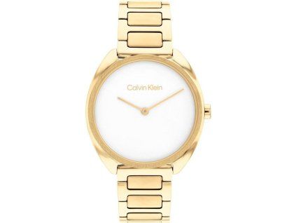 hodinky calvin klein model 25200276
