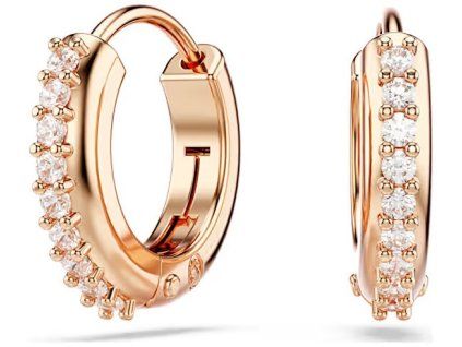 nausnice swarovski model 5690669