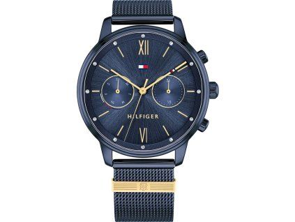 hodinky tommy hilfiger blake model 1782305