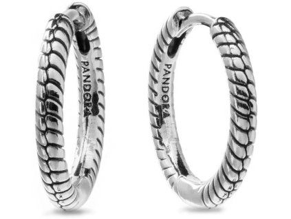 nausnice pandora moments model 292728c00