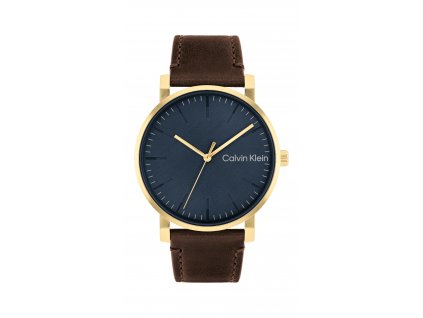 Hodinky Calvin Klein MODERN BURST