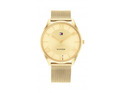Hodinky Tommy Hilfiger GOLD IONIC