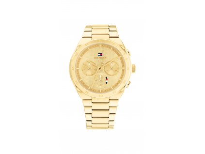 Hodinky Tommy Hilfiger IONIC-PLATED