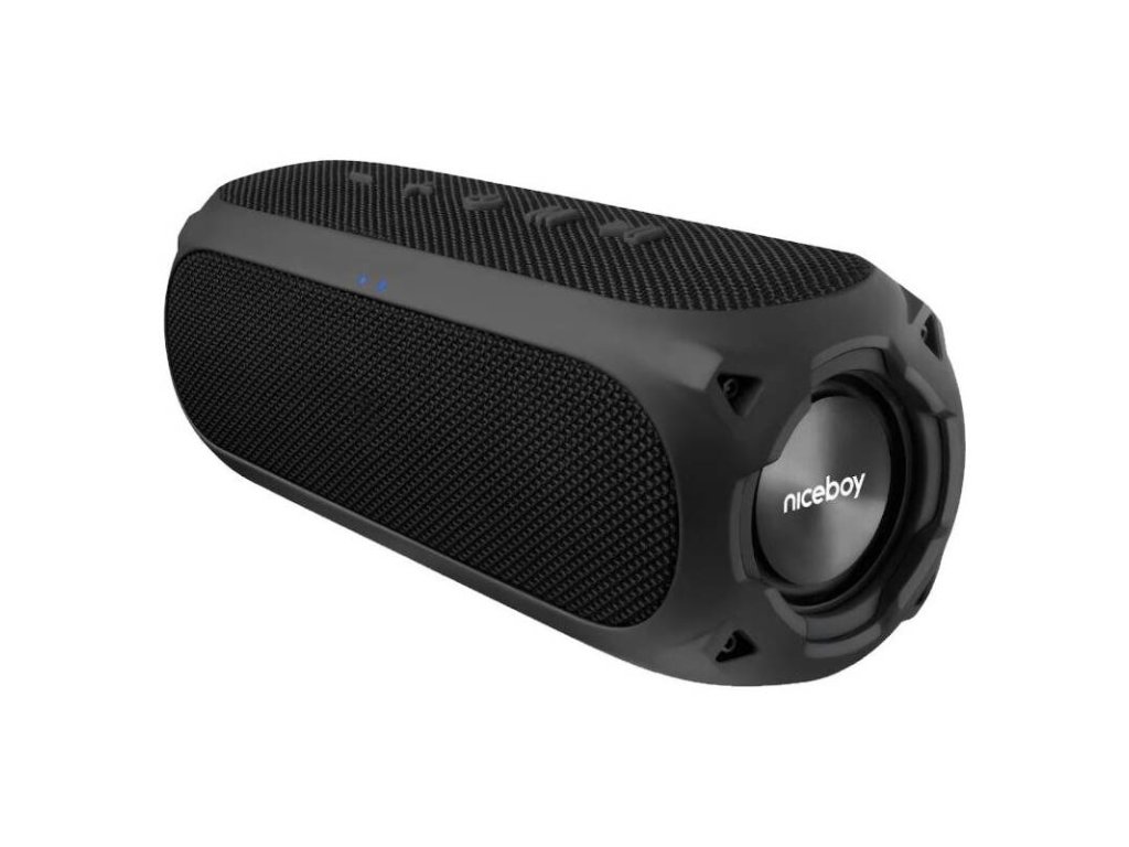 Přenosný reproduktor Niceboy RAZE 3 Radion / 8 ohm / IP67 / 65 Hz - 25 kHz / 24 W / Bluetooth 5.0 / černá