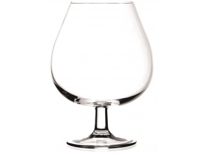 2-dílná sada sklenic na brandy Masterpro Barware / 670 ml / transparentní