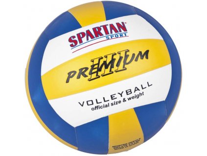 Volejbalový míč Spartan Indoor / syntetická kůže