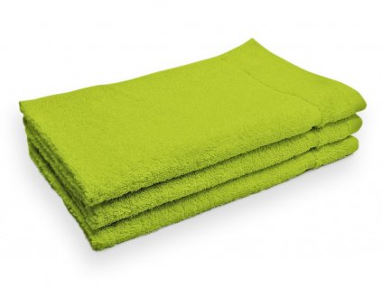 EmaHome - Ručník 30 x 50 cm / bavlna / zelená