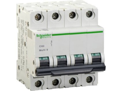 Jistič Schneider Electric 24483 10 A 240 V / AC, 440 V / AC, 415 V / AC