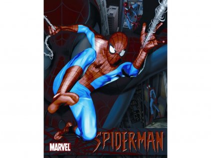 Plechová cedule Desperate MS1219 - Spiderman / 40 x 30 cm