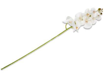 ORCHES Umelá orchidea / umelá orchidea / 97 cm / Biela