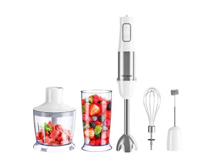 Tyčový mixér Homgeek HAT 9629B