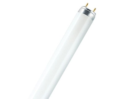 Žiarivka Osram T8 / 36 W / G13 / Ø 26 mm / 121 cm / studená biela