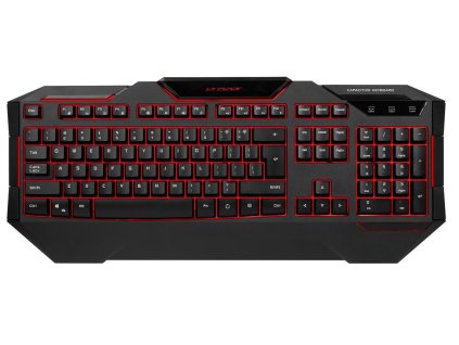 Medion Erazer X81019