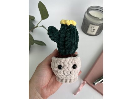 Háčkovaný kaktus v květináči