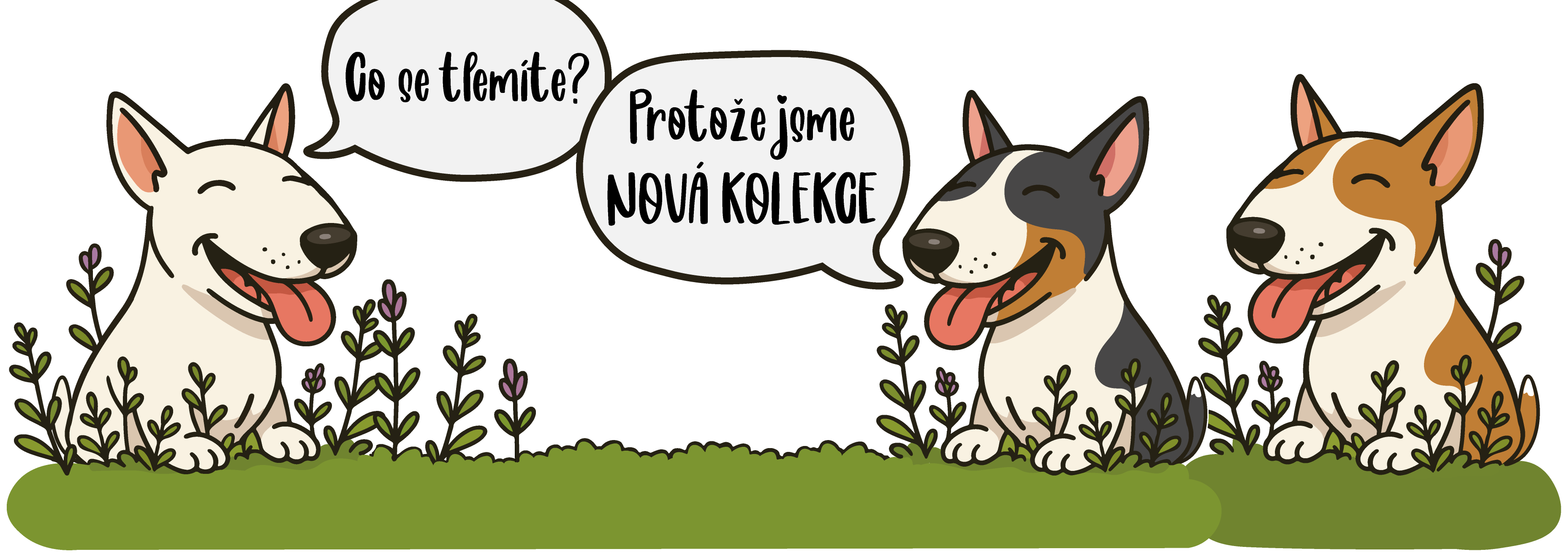 Kolekce 2025
