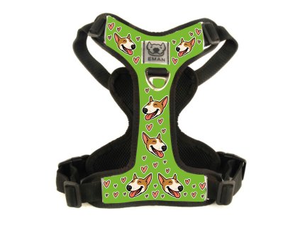 postroj vysmaty hnedy zelena Kreslicí plátno 1