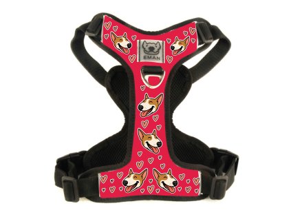 postroj vysmaty hnedy cervena Kreslicí plátno 1