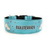 5BULLTERRIER blue2