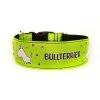 5BULLTERRIER green2