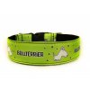 Obojek BULLTERRIER - Collar BULLTERRIER (4 CM)