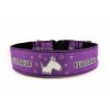 Obojek BULLTERRIER - Collar BULLTERRIER (4 CM)