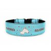 Obojek BULLTERRIER - Collar BULLTERRIER (4 CM)