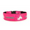 Obojek BULLTERRIER - Collar BULLTERRIER (4 CM)