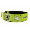 Obojek BULLTERRIER - Collar BULLTERRIER (4 CM)