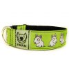 Obojek BULIK BÍLÝ - Collar BULLIE WHITE (4 CM)