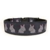 Obojek BULIK ČERNÝ - Collar BULLIE BLACK (4 CM)