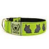 Obojek BULIK ČERNÝ - Collar BULLIE BLACK (4 CM)