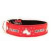 Obojek BULLTERRIER - Collar BULLTERRIER (3CM) krátký / short