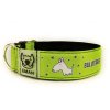 Obojek BULLTERRIER - Collar BULLTERRIER (4 CM)