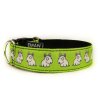 Obojek BULIK BÍLÝ - Collar BULLIE WHITE (3CM) krátký / short