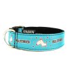 3CM BULLTERRIER blue 2