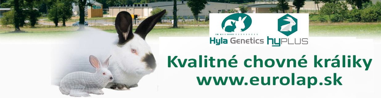 Kvalitné chovné králiky Hyla a Hyplus