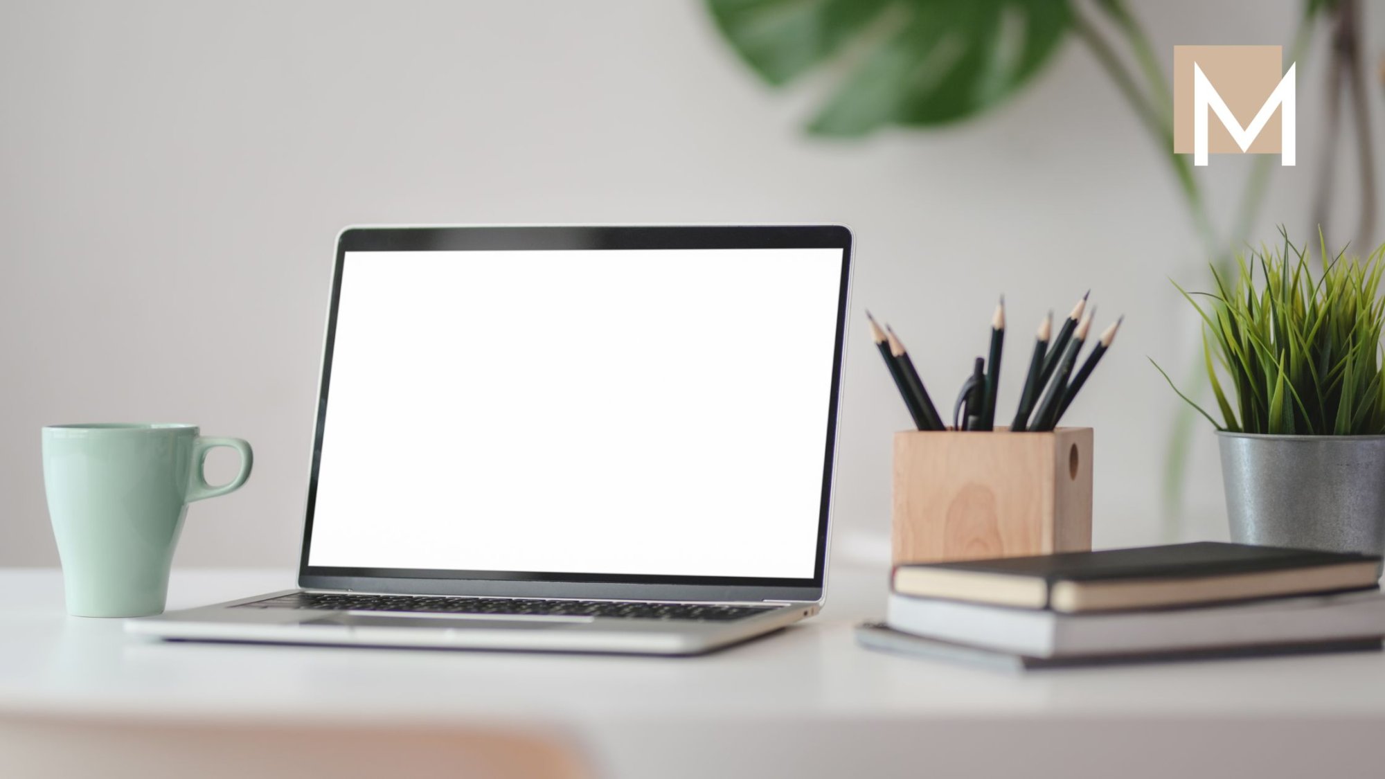 Na co myslet při změně šablony