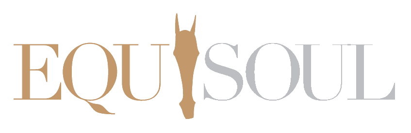 Logo_equisoul