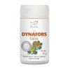 fin dynaforstabs original