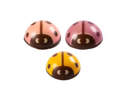 Čokoládové ozdoby Lienky 12ks (
                            Variant
                         
                            28459221
                        )