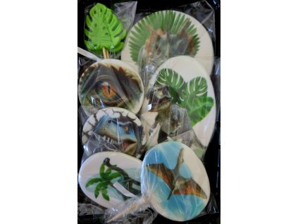 Set cukrových dekorácií Dinosaury TOP