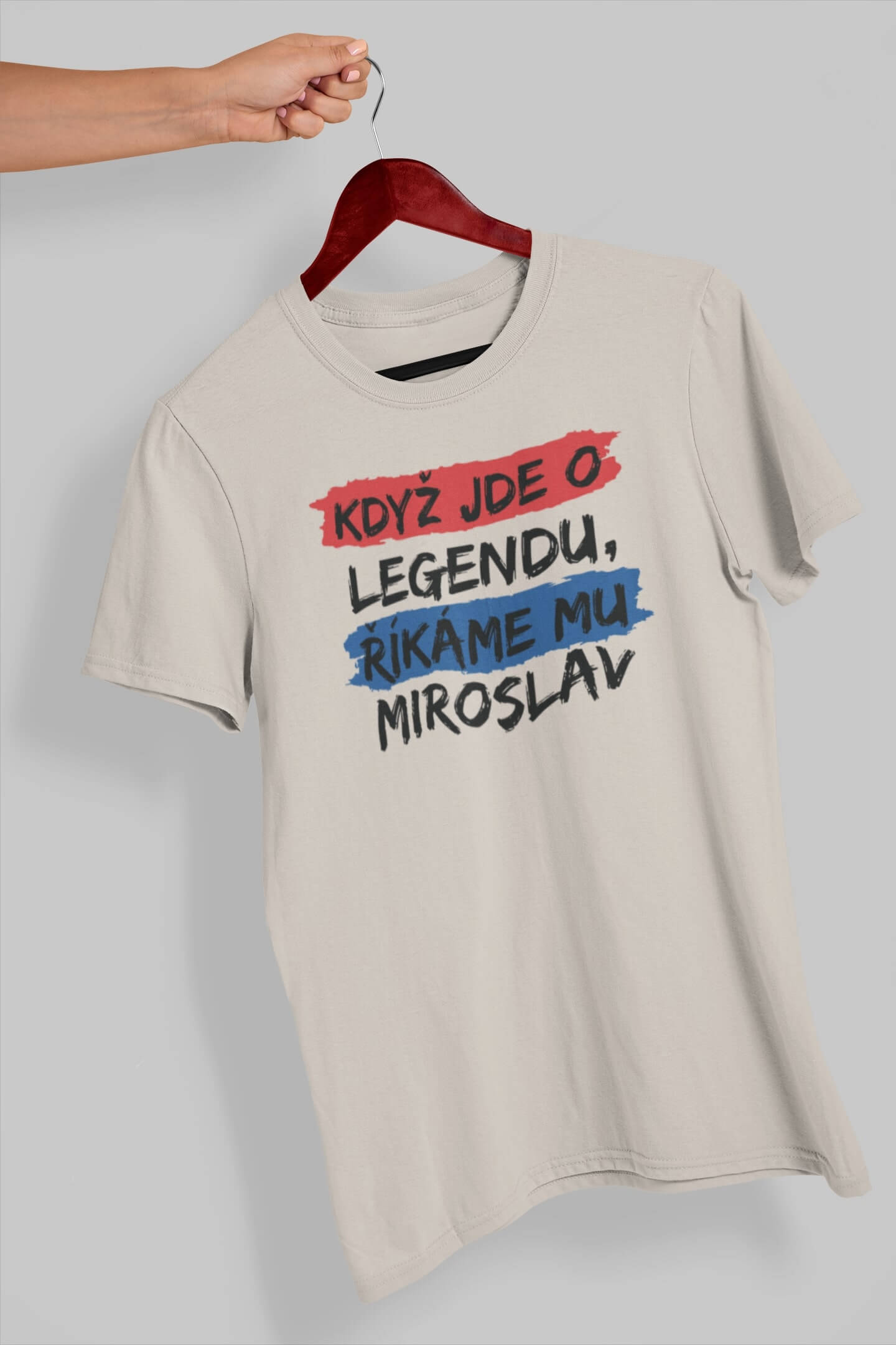 Pánské tričko Miroslav Barva: Ledově šedá