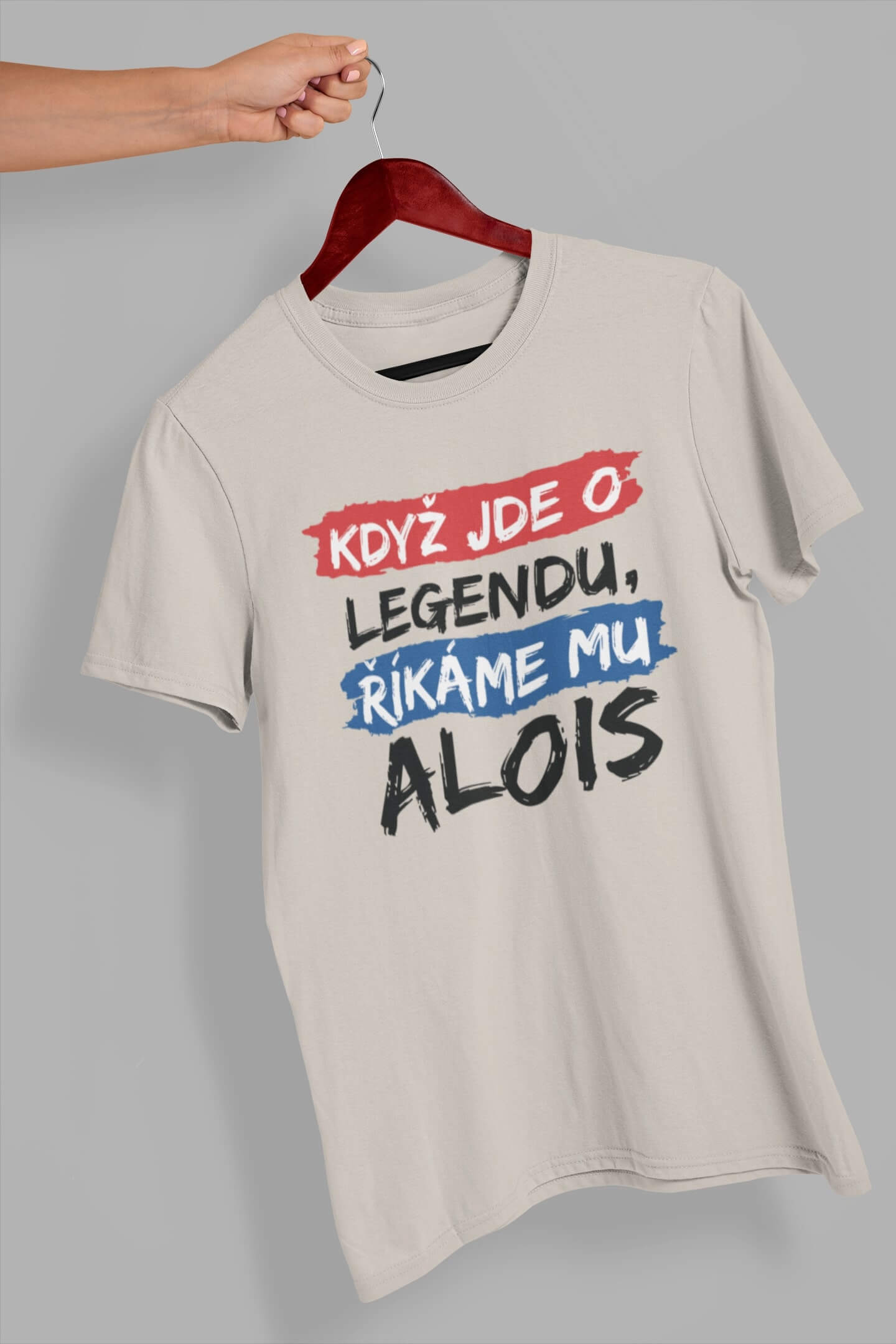 Pánské tričko Alois Barva: Ledově šedá