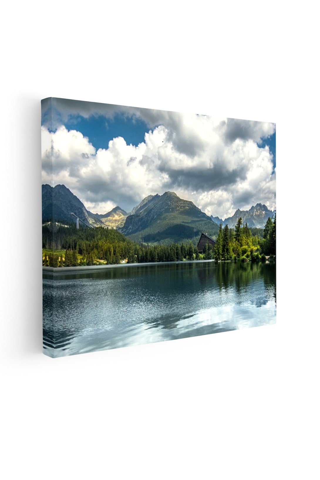 Obraz na plátně s vlastním designem Rozměr: 60x90cm