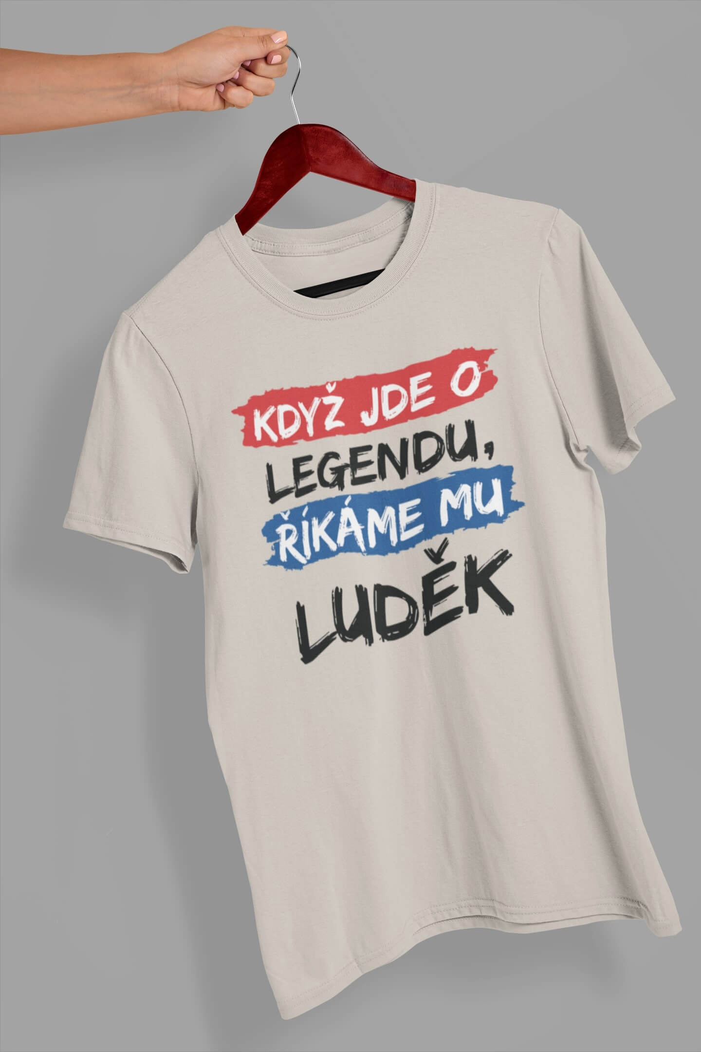 Pánské tričko Luděk Barva: Ledově šedá