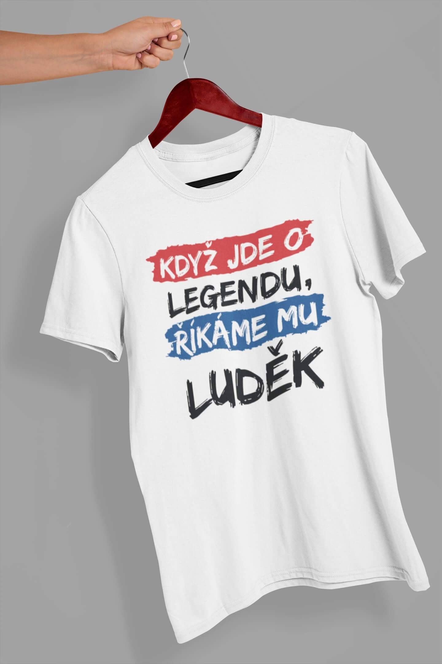 Pánské tričko Luděk Barva: Bíla